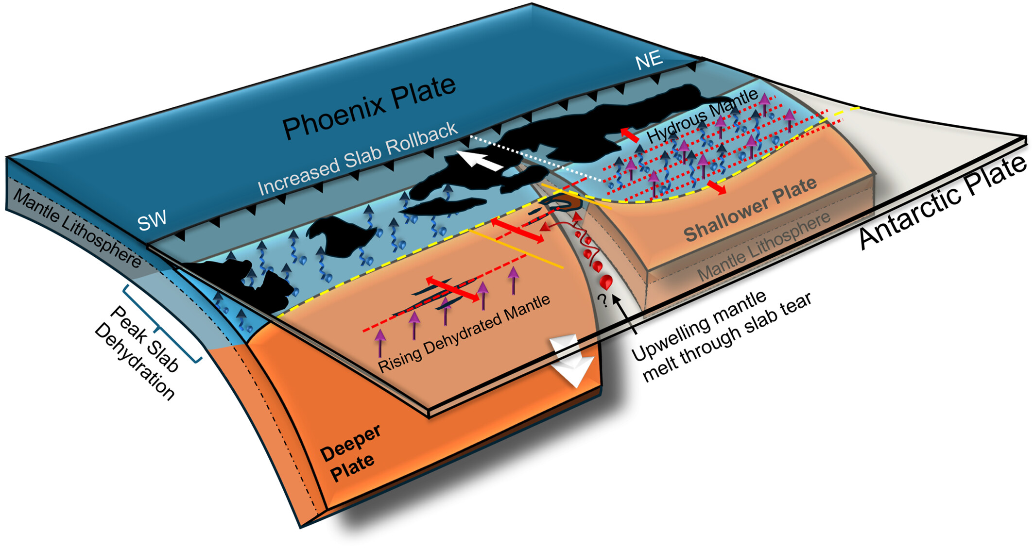 Bransfield Basin tectonic block diagram — Phoenix and Antarctic plates with slab rollback and upwelling mantle melt